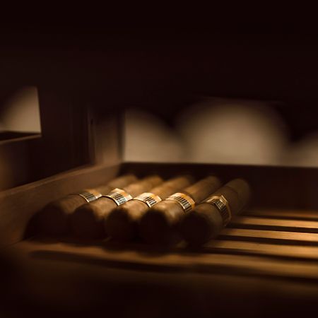 Hotel Ambasador - Liburnia Abbazia Esterno foto The keyboard of a harpsichord