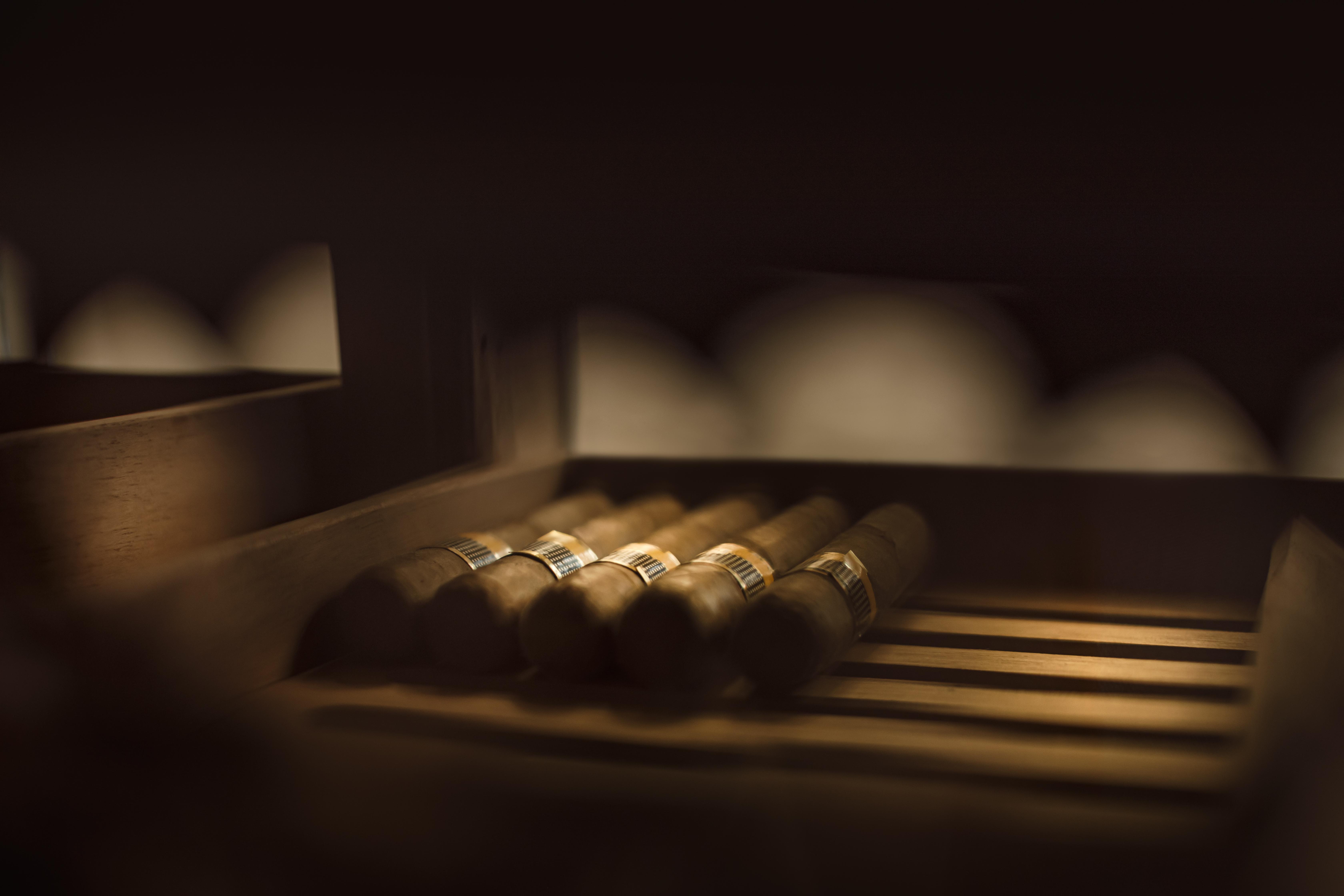 Hotel Ambasador - Liburnia Abbazia Esterno foto The keyboard of a harpsichord